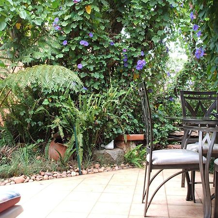 เชอรี ทรี คอตเทจ บีแอนด์บี ลินเดน Bed & Breakfast โจฮันเนสเบิร์ก ภายนอก รูปภาพ