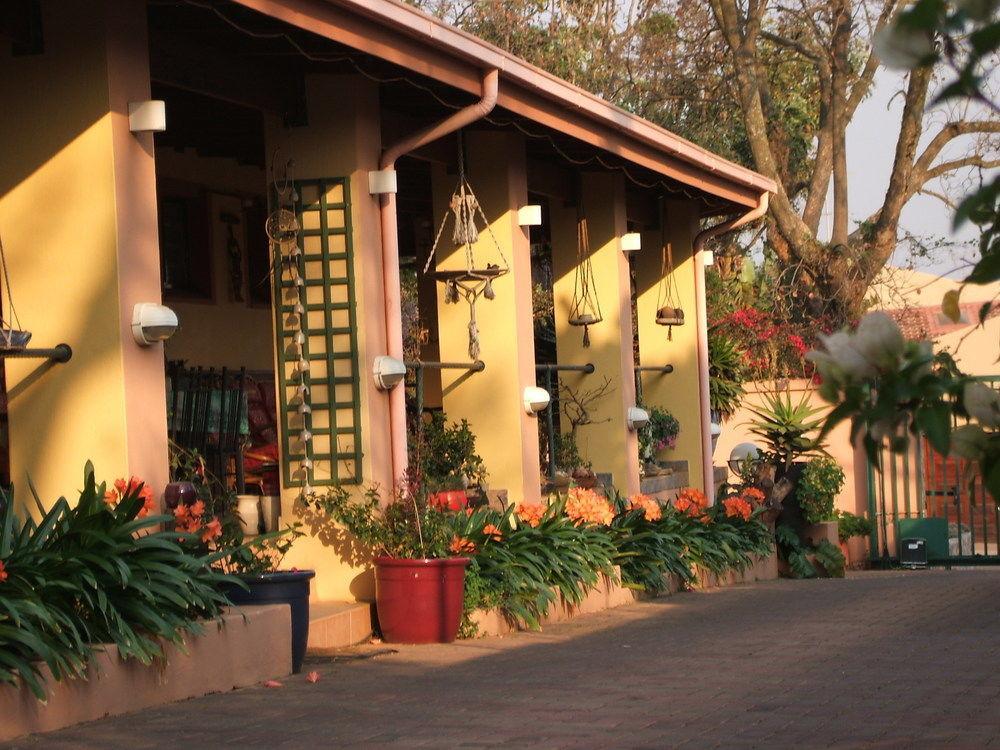 เชอรี ทรี คอตเทจ บีแอนด์บี ลินเดน Bed & Breakfast โจฮันเนสเบิร์ก ภายนอก รูปภาพ