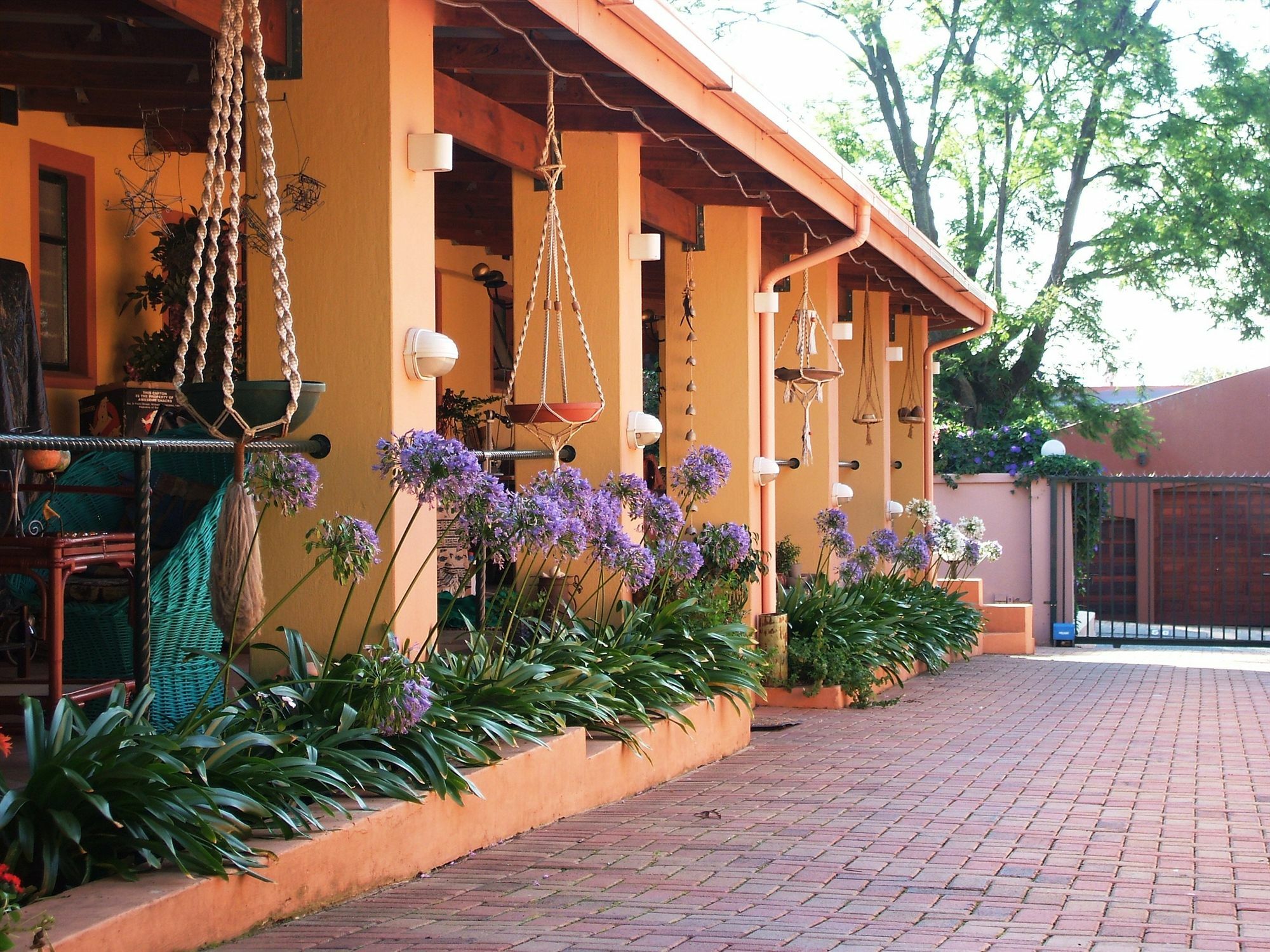 เชอรี ทรี คอตเทจ บีแอนด์บี ลินเดน Bed & Breakfast โจฮันเนสเบิร์ก ภายนอก รูปภาพ